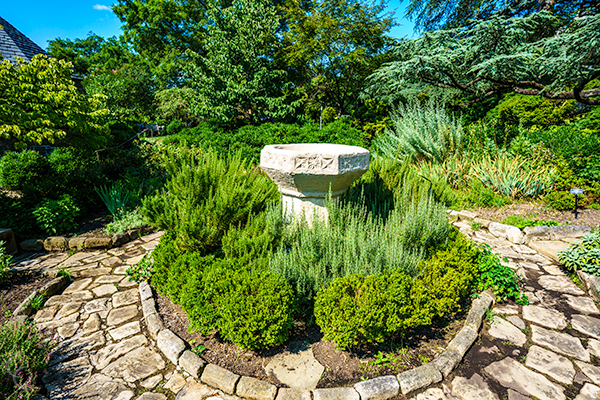 Garden bird bath